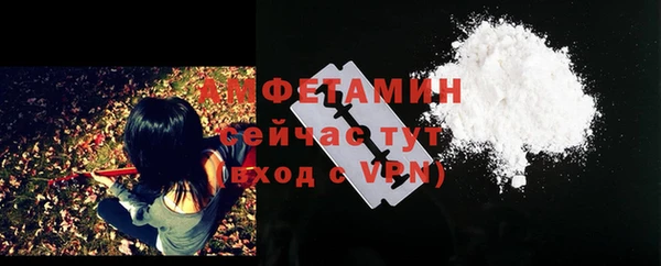 хмурый Вяземский