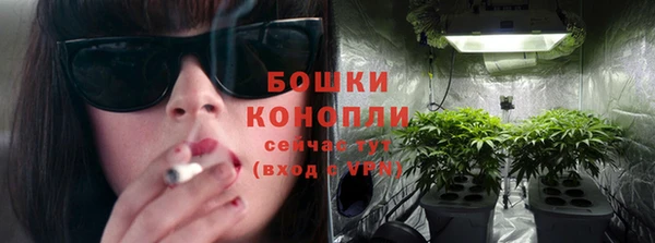 СК Горняк