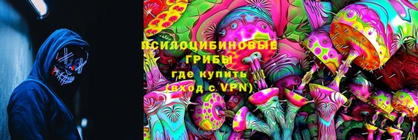 хмурый Вяземский