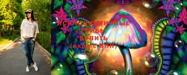 сатива Вязники