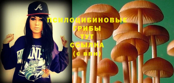 хмурый Вяземский